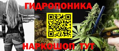 спайс Коммунар