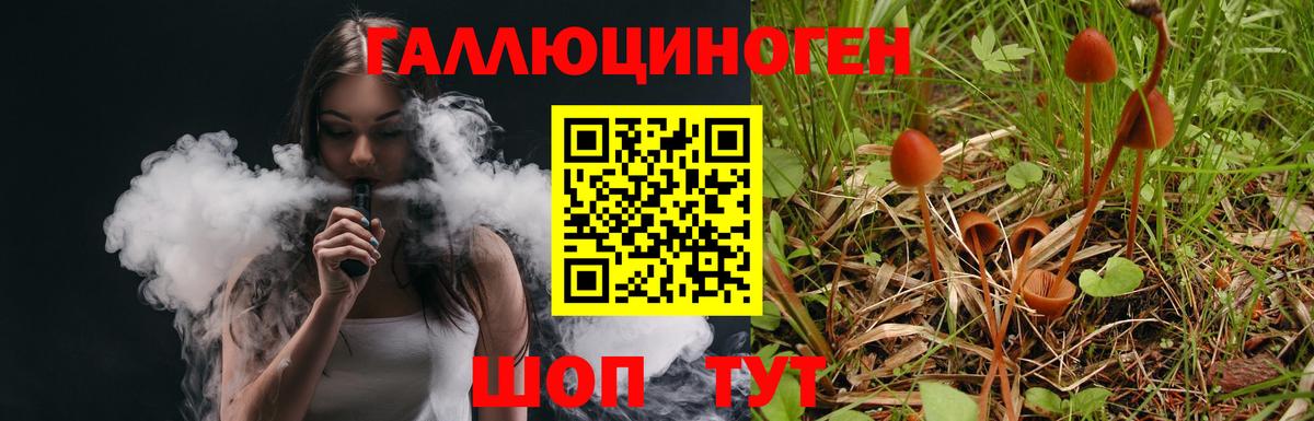 Псилоцибиновые грибы Psilocybine cubensis  Вход с VPN  Карталы 